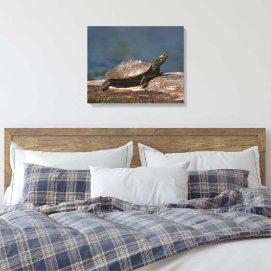 Gestreifte Schildkröte Leinwanddruck (Insitu (Schlafzimmer))
