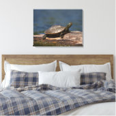 Gestreifte Schildkröte Leinwanddruck (Insitu (Schlafzimmer))