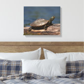 Gestreifte Schildkröte Leinwanddruck (Insitu (Schlafzimmer))