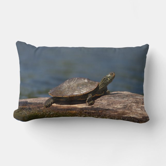 Gestreifte Schildkröte Lendenkissen (Vorderseite)