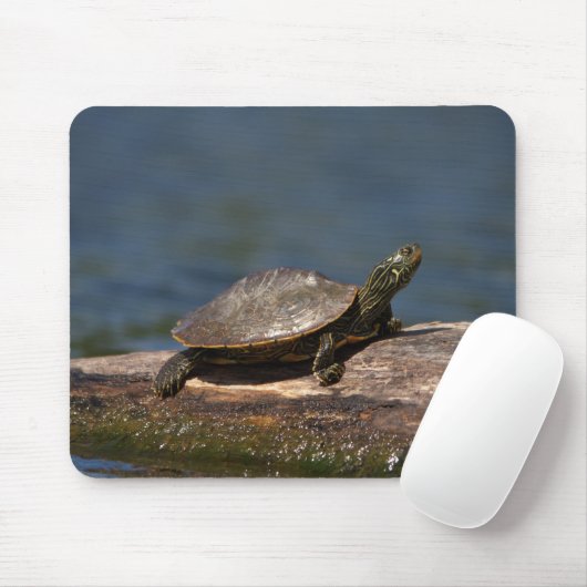 Gestreifte Schildkröte Mousepad (Mit Mouse)