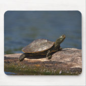 Gestreifte Schildkröte Mousepad (Vorne)