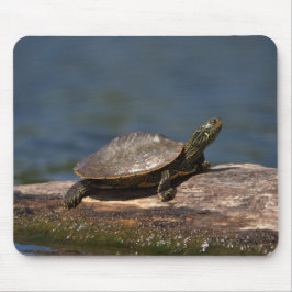 Gestreifte Schildkröte Mousepad