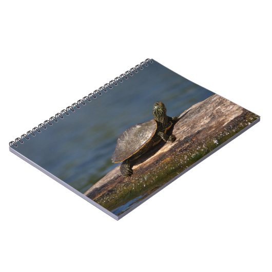 Gestreifte Schildkröte Notizblock (Linke Seite)