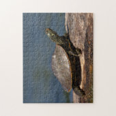 Gestreifte Schildkröte Puzzle (Vertikal)