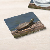 Gestreifte Schildkröte Rechteckiger Pappuntersetzer (angewinkelt)