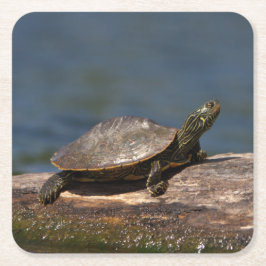 Gestreifte Schildkröte Rechteckiger Pappuntersetzer