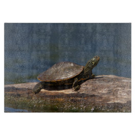 Gestreifte Schildkröte Schneidebrett