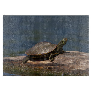 Gestreifte Schildkröte Schneidebrett