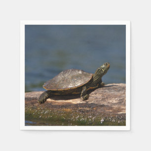 Gestreifte Schildkröte Serviette