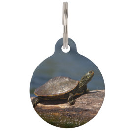 Gestreifte Schildkröte Tiernamensmarke