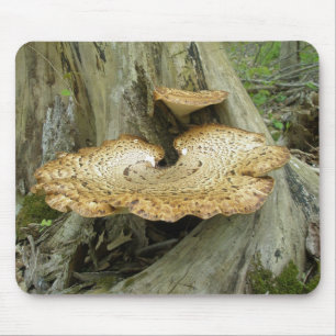 Gestreifte Shelf-Fungus-Koordinaten-Elemente Mouse Mousepad