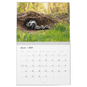 Gestreifte und gefleckte Stinktiere-Kalender Kalender (Mär 2027)