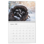 Gestreifte und gefleckte Stinktiere-Kalender Kalender (Jan 2027)