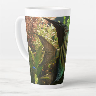 Gestreifter Altum-Segelflosser Milchtasse