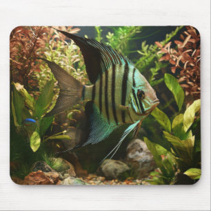 Gestreifter Altum-Segelflosser Mousepad
