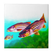 Gestreifter Bass-AtlantikStriper Fliese (Vorderseite)