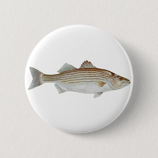 Gestreifter Bass-Kunst Button (Vorderseite)