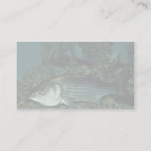 Gestreifter Baß Visitenkarte (Rückseite)