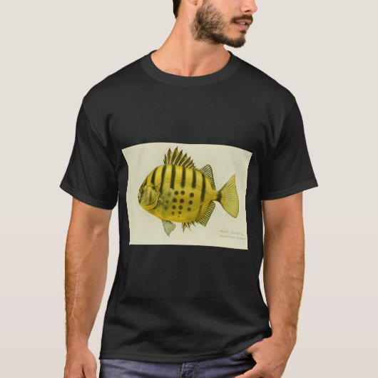 Gestreifter Butterfisch T-Shirt (Vorderseite)