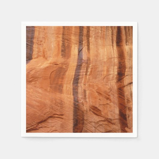 Gestreifter Felsen mit Doppelbogen Alcove II in Zi Serviette (Vorderseite)