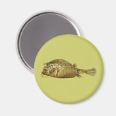 Gestreifter Kofferfisch Magnet (Vorderseite/Rückseite)