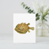 Gestreifter Kuhfisch Postkarte (Stehend Vorderseite)