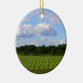 Gestreifter Land-Bauer des Bauernhoffeldes, der Keramikornament (Rechts)