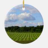 Gestreifter Land-Bauer des Bauernhoffeldes, der Keramikornament (Hinten)