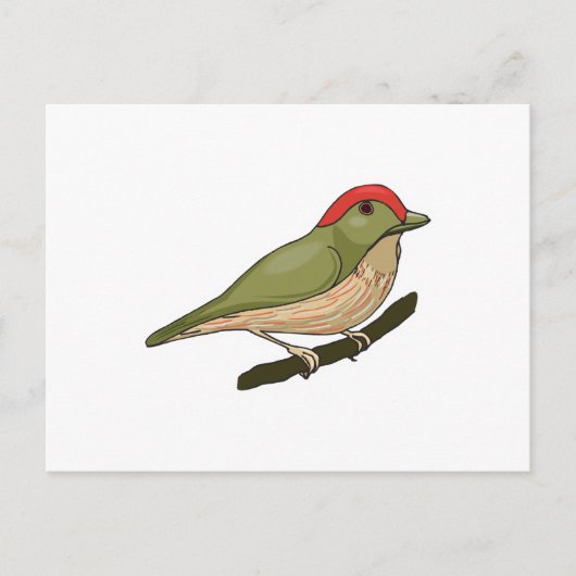 Gestreifter Manakin Postkarte (Vorderseite)