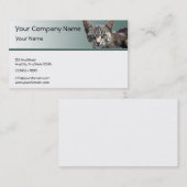 Gestreifter Tabby mit grünen Augen auf grüner Visitenkarte (Vorne/Hinten)