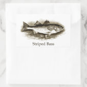 gestreiftes Bass-Logo (Vintag) Rechteckiger Aufkleber (Tasche)