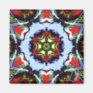 Gestreiftes Kaleidoskop-Magnet Magnet