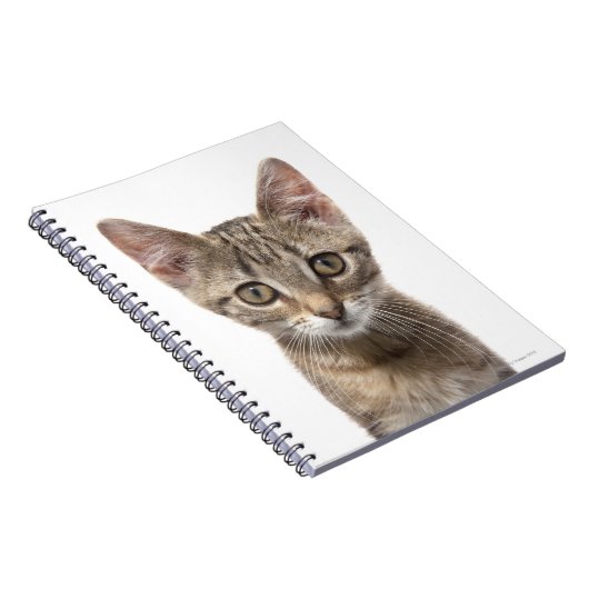 Gestreiftes Kätzchen Notizblock (Rechte Seite)