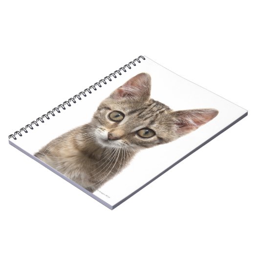 Gestreiftes Kätzchen Notizblock (Linke Seite)