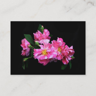 Gestreiftes Rose ATC Visitenkarte