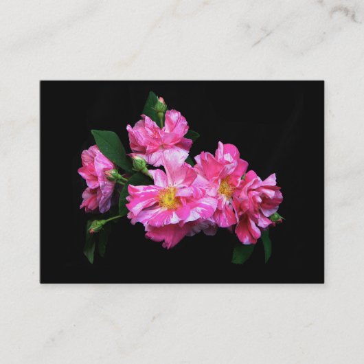 Gestreiftes Rose ATC Visitenkarte (Vorderseite)
