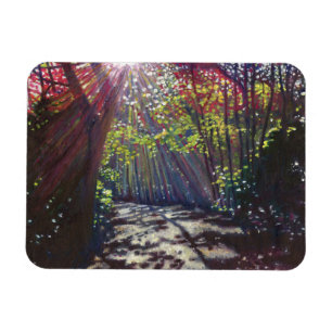 Gestreutes Licht 2013 Magnet