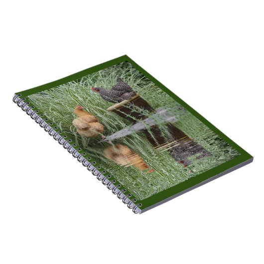 Gestrickte Hühner Notizblock (Rechte Seite)