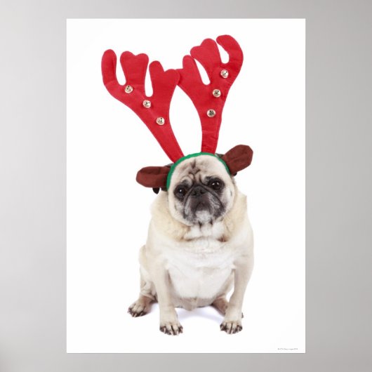 Gestrickter Mops mit Rentier Antlers Poster (Vorne)