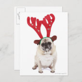 Gestrickter Mops mit Rentier Antlers Postkarte (Vorne/Hinten)