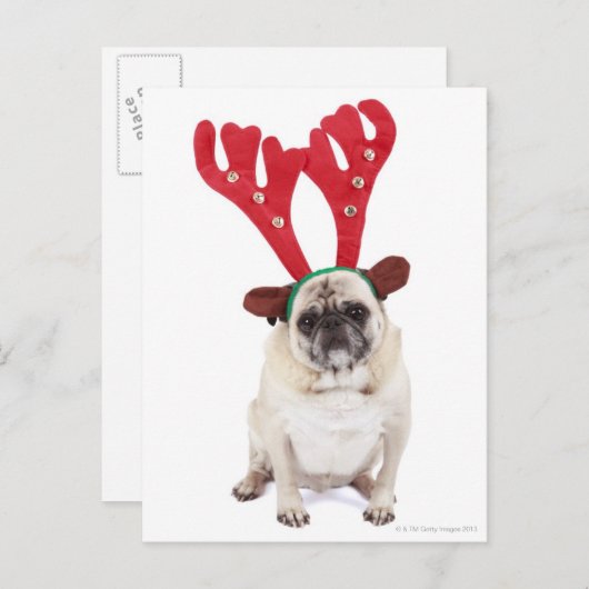 Gestrickter Mops mit Rentier Antlers Postkarte (Vorne/Hinten)