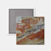 Gestriemtes versteinertes Holz Magnet (Vorderseite/Rückseite)