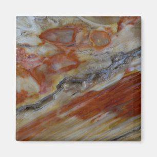 Gestriemtes versteinertes Holz Magnet