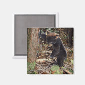 gestumpft magnet (Vorderseite/Rückseite)