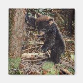 gestumpft magnet (Vorne)