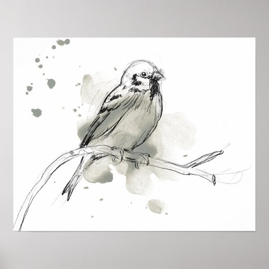 Gestural Bird Study Poster (Vorne)