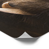 Gestütetes Wildschwein mit Brillen im Freien Poster (Ecke)