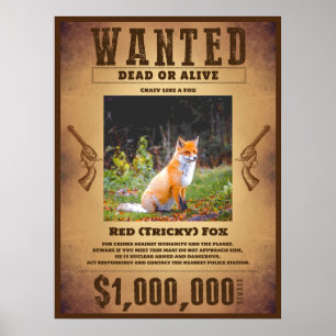 Gesucht poster