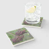 Gesunde Elderberries Steinuntersetzer (Seitenansicht)